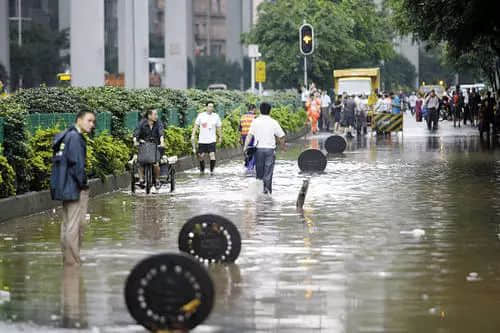 落湯雞一樣嘅廣州人，仲比唔上一條魚