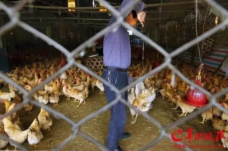 “食在廣州”是不是名過其實(shí)？