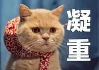 如果有一天，廣州的下一代不會講廣州話
