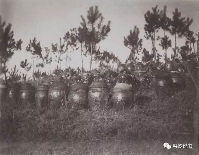清明節(jié)習(xí)俗逐個(gè)數(shù)