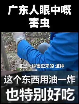 地表最兇殘物種:沒有感情的廣東人 地表最兇殘物種:沒有感情的廣東人