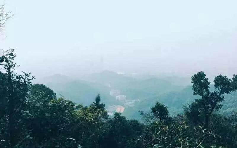 廣州搵笨景點指南，那些年你交過幾多智商稅？