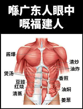 地表最兇殘物種:沒有感情的廣東人 地表最兇殘物種:沒有感情的廣東人