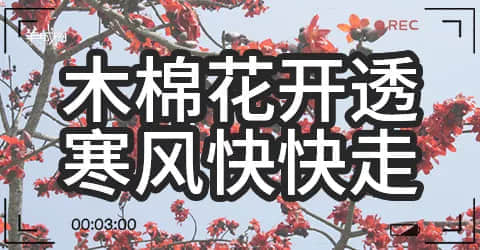 廣州天氣亂咁嚟？都系因?yàn)槟慊浾Z(yǔ)未學(xué)好！