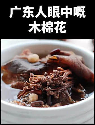 地表最兇殘物種:沒有感情的廣東人 地表最兇殘物種:沒有感情的廣東人