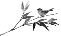 據(jù)說張藝謀最被期待的電影，正在挑戰(zhàn)中國觀眾的感官