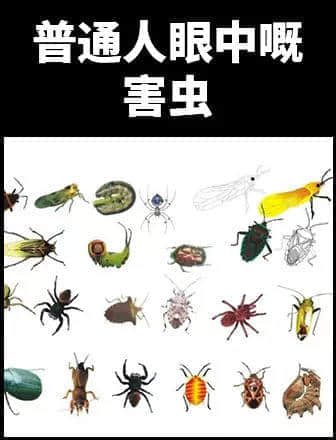 地表最兇殘物種:沒有感情的廣東人 地表最兇殘物種:沒有感情的廣東人