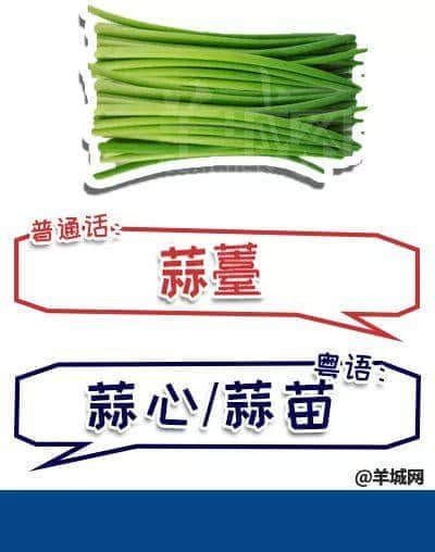 系唔系正宗廣府人，行個(gè)街市就知道曬！