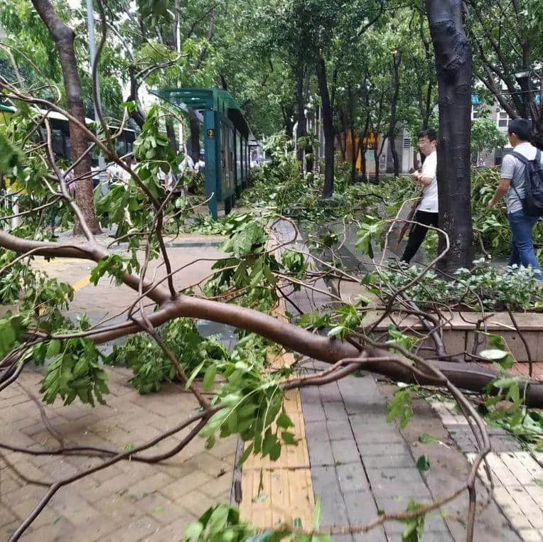 天南地北的“千禧之子”眼中，廣州是怎樣的？