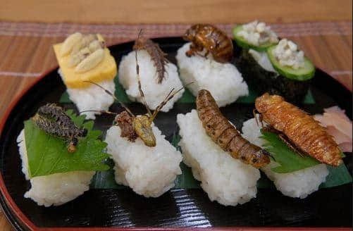 廣州人咩都食？！爆漿蠶蛹都只系碎料！