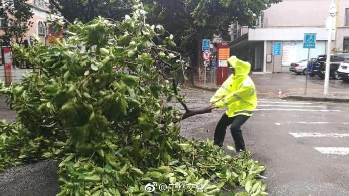 原來廣州人系咁樣樣面對史上最強臺風(fēng)之一？？