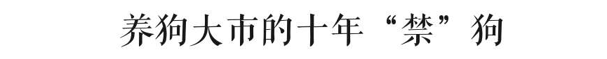 @廣州人，你是個合格的狗主人嗎？