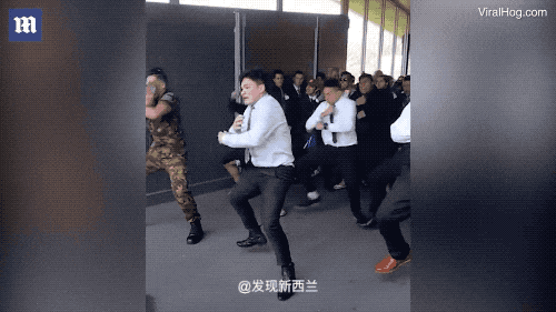 新西蘭的毛利戰(zhàn)舞為何會令人血脈沸騰？