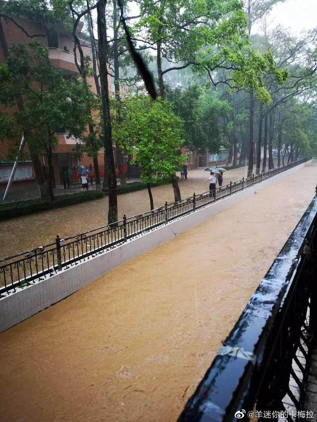 熱烈慶祝，廣州暴雨+熱搜包月套餐生成！