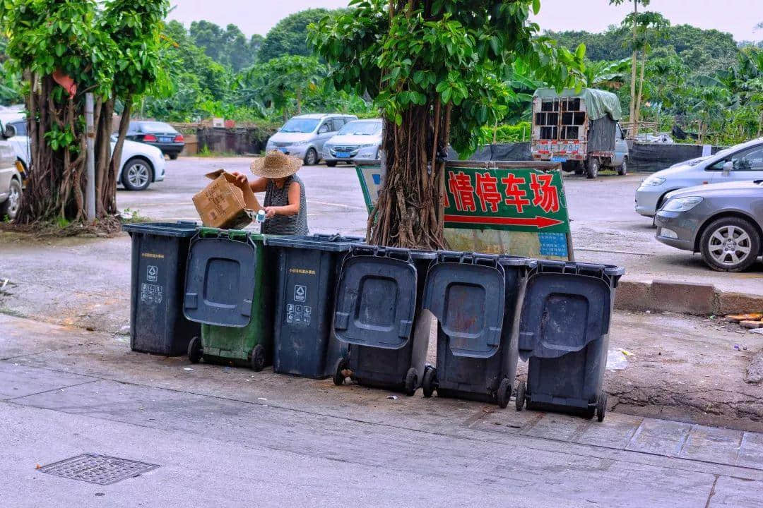 我們走上街頭，體驗了一下廣州的垃圾分類