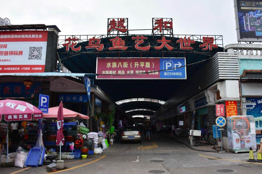 芳村還能存在多久？