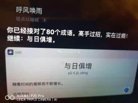 因?yàn)樾滦头窝讗灥桨l(fā)毛嘅廣東人，如何喺屋企解悶？