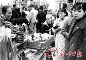 即使日軍兵臨城下，也不能阻擋廣州人買花買年桔！
