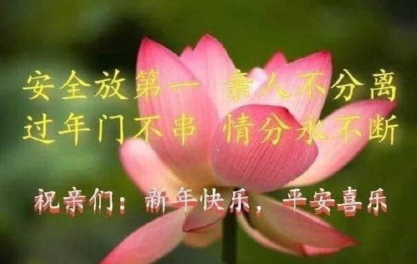 新型肺炎疫情嚴(yán)峻，廣東人應(yīng)如何保命過春節(jié)？