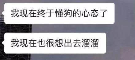 因?yàn)樾滦头窝讗灥桨l(fā)毛嘅廣東人，如何喺屋企解悶？