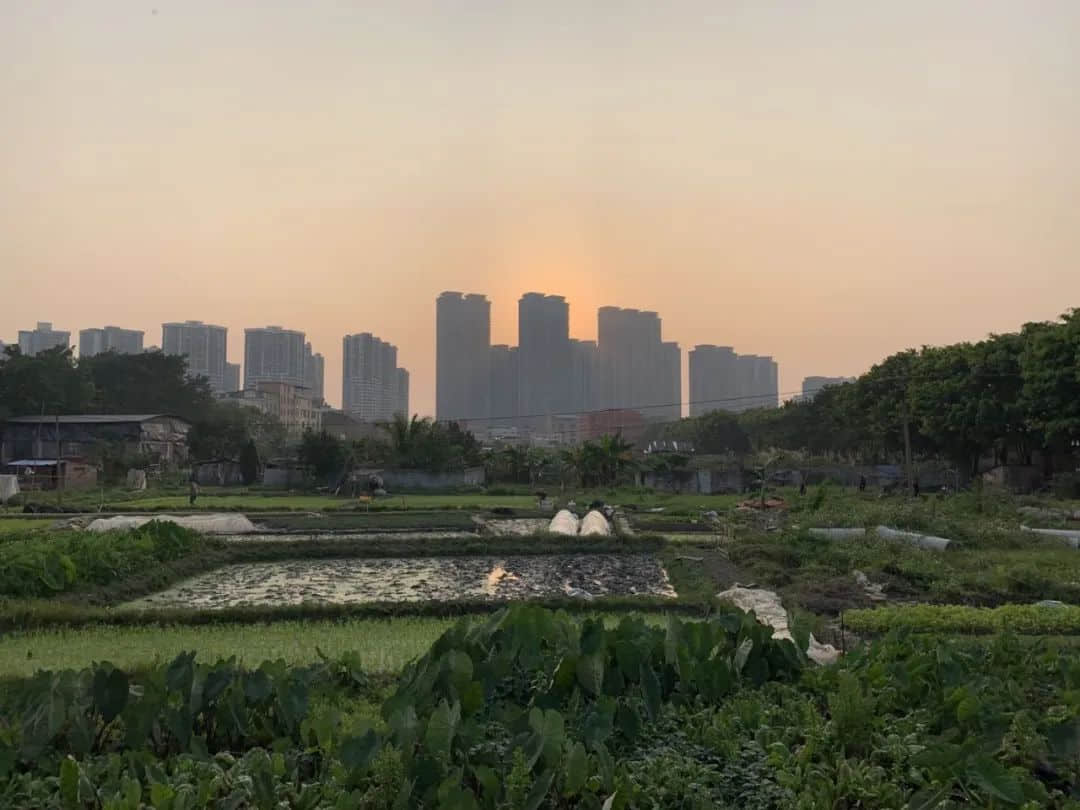 上帝視角的廣州是什么模樣？