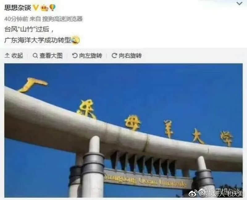 在湛江，我們找回廣州失去的隱秘角落