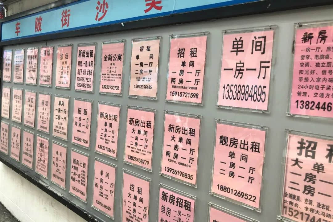 車陂2020：沒有龍舟，生活一樣火熱