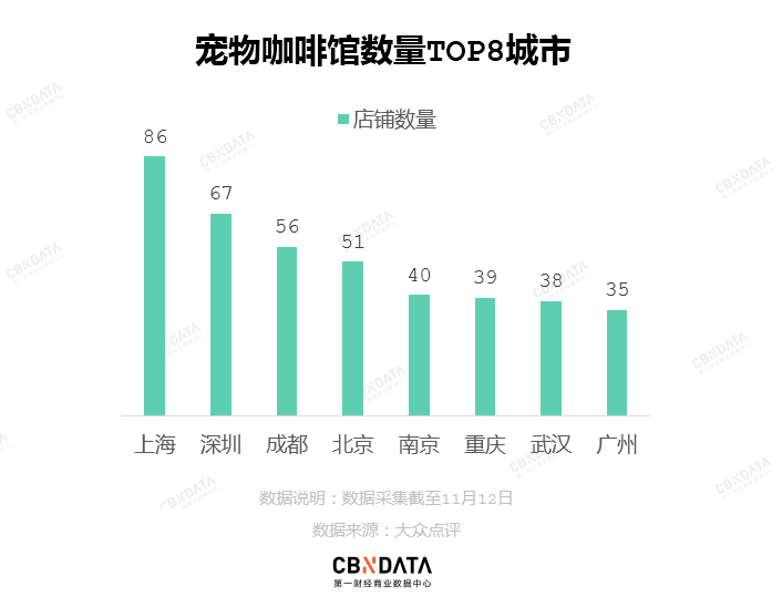 在廣州享受著997福報(bào)的阿貓阿狗：治愈還是致郁？