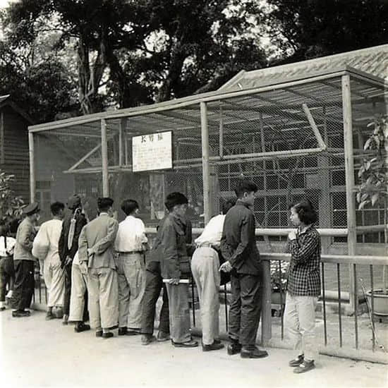 廣州動(dòng)物園，這次真的要非搬不可了嗎？