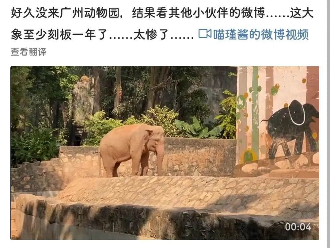 廣州動(dòng)物園，這次真的要非搬不可了嗎？