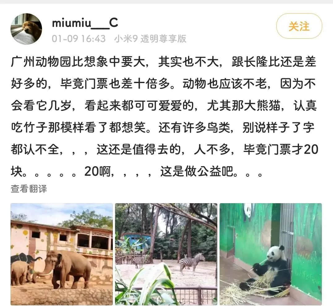 廣州動(dòng)物園，這次真的要非搬不可了嗎？