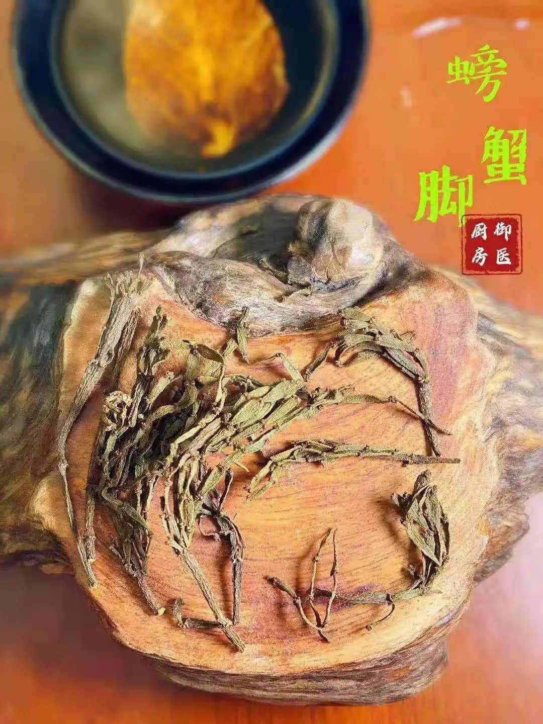 驚蟄，為何身邊的蛇蟲鼠蟻多了起來？