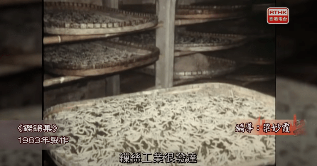 “不結(jié)婚的人，老了很凄涼？”百年前的廣東女性已給出答案