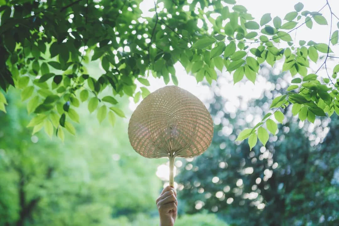 竟然！廣東人過立夏還要稱體重？