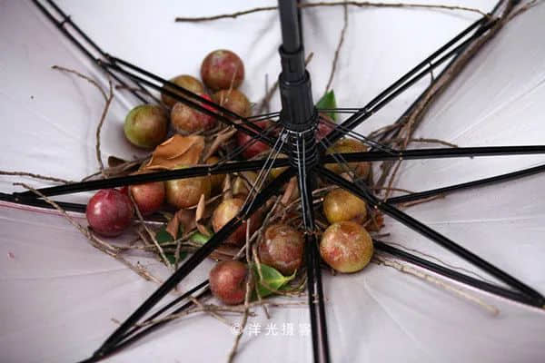 廣州疫情下，再也看不到包租公在臭涌玩漂移了