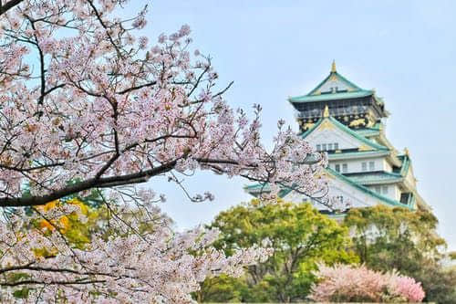 一個從未去過日本的美國人，卻把日本文化看得如此通透