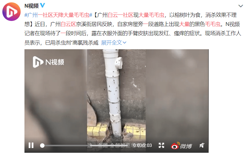 疫情總會(huì)消退，但被殺死的榕樹(shù)卻再也回不來(lái)