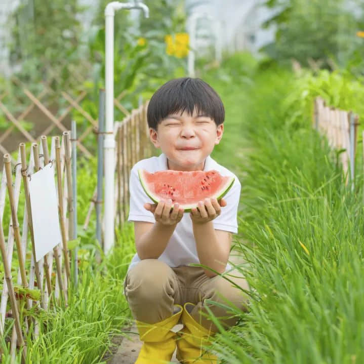 臺(tái)風(fēng)高發(fā)、高溫酷熱的大暑，該喝什么消暑湯水？