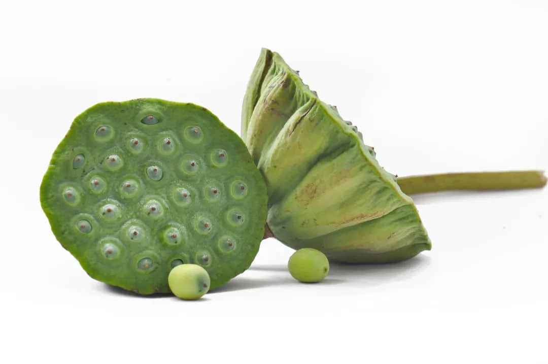 臺(tái)風(fēng)高發(fā)、高溫酷熱的大暑，該喝什么消暑湯水？