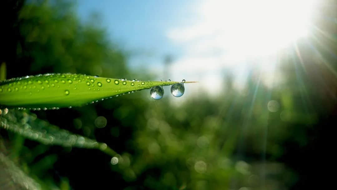 處暑到！又熱又干的天氣該喝什么湯？