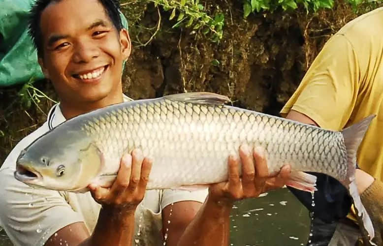 這些米其林看不上的地道廣東美食，你試過多少道？