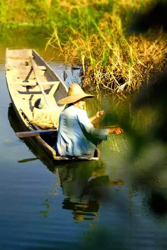 民以食為天（莫依慈）