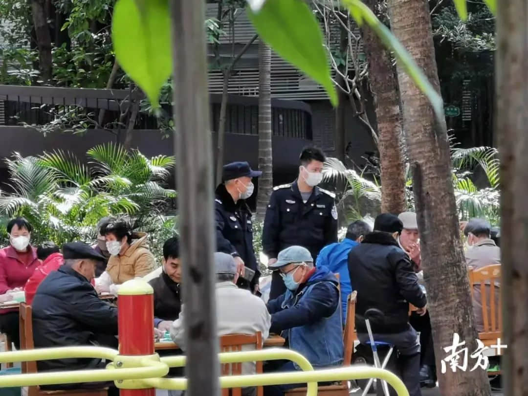 花都有疫情啦，樹還會遠嗎？不如在家打麻雀吧！