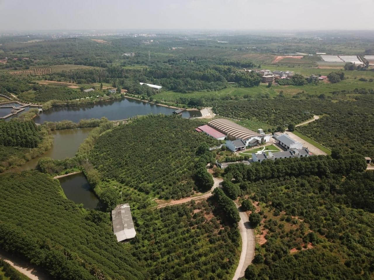 (江西綠源油脂實業(yè)有限公司——油茶基地)
