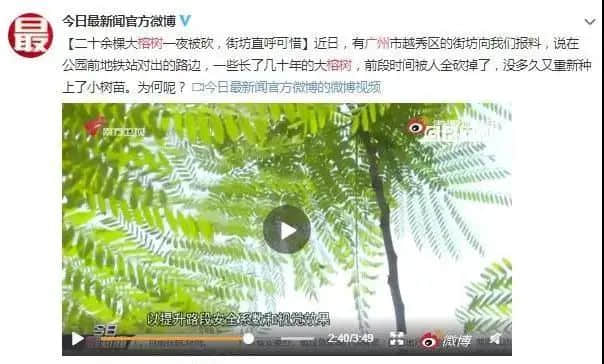 2021年大事回顧：若有一件不知道，你就不算廣東人！