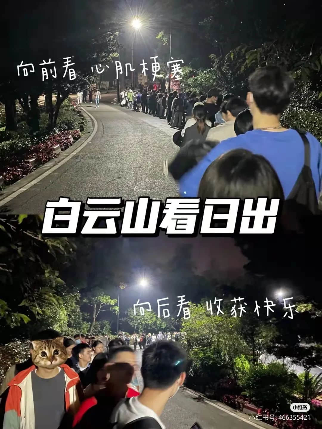 拆掉“笨豬跳”的白云山，正成為廣州年輕人凌晨三點夜爬圣地