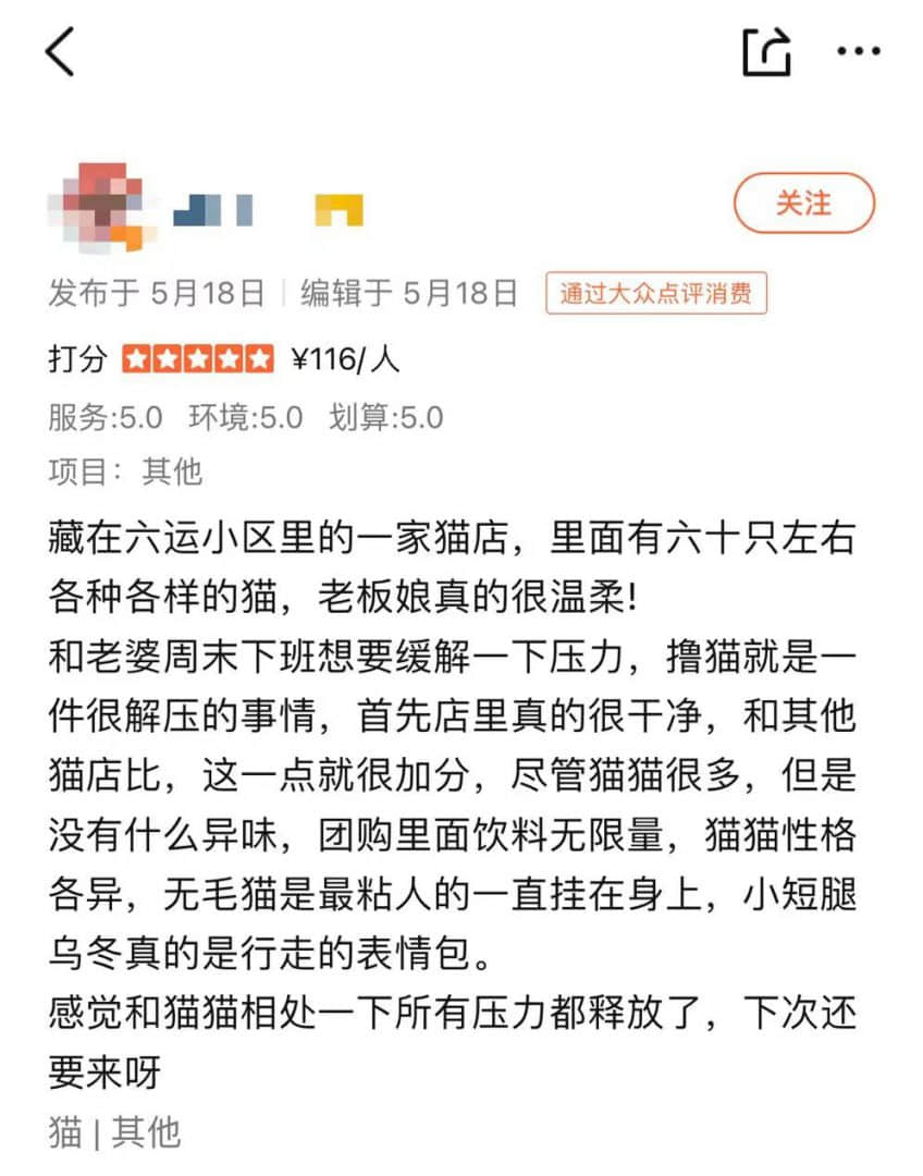 ▲大眾點(diǎn)評網(wǎng)友分享的擼寵解壓體驗(yàn)