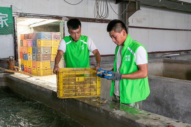 ▲?美團(tuán)買菜工作人員正在對(duì)“肥肥蠔”進(jìn)行人工檢測(cè)?攝影：楊洋