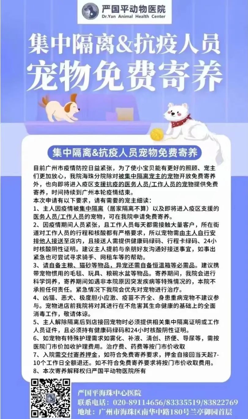 廣州疫情封控不斷加強，留守寵物誰來守護？