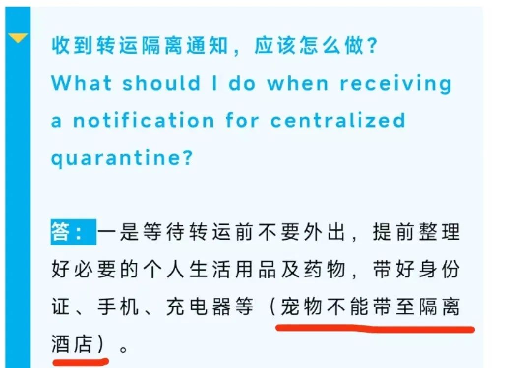 廣州疫情封控不斷加強，留守寵物誰來守護？